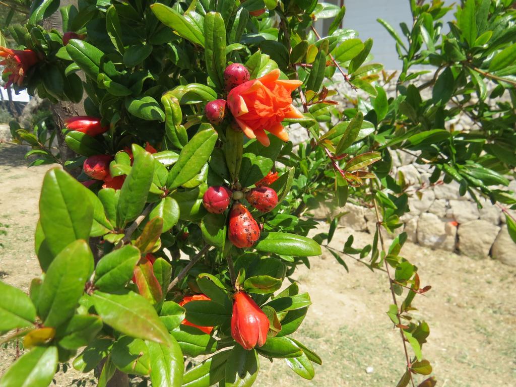 Camping Fiori Di Noto Exterior foto