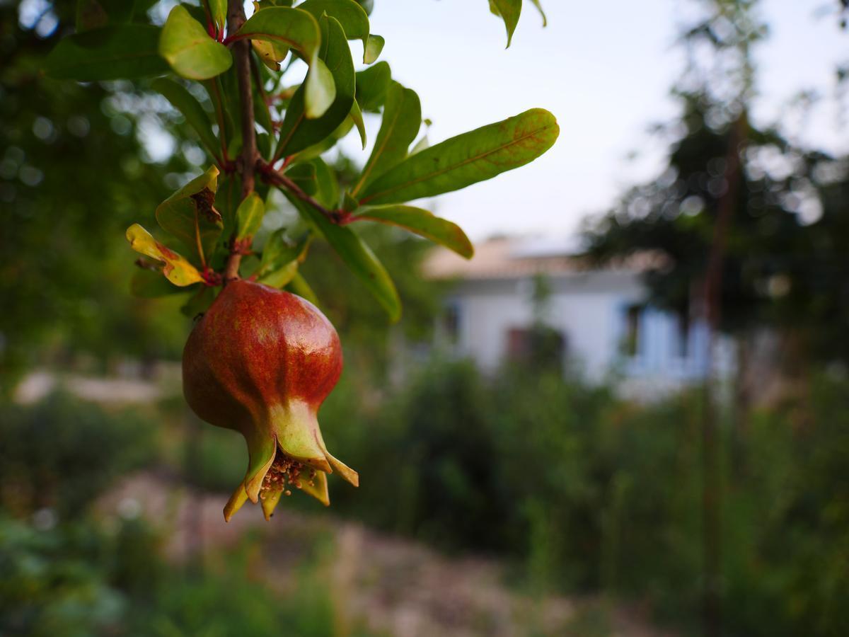 Camping Fiori Di Noto Exterior foto