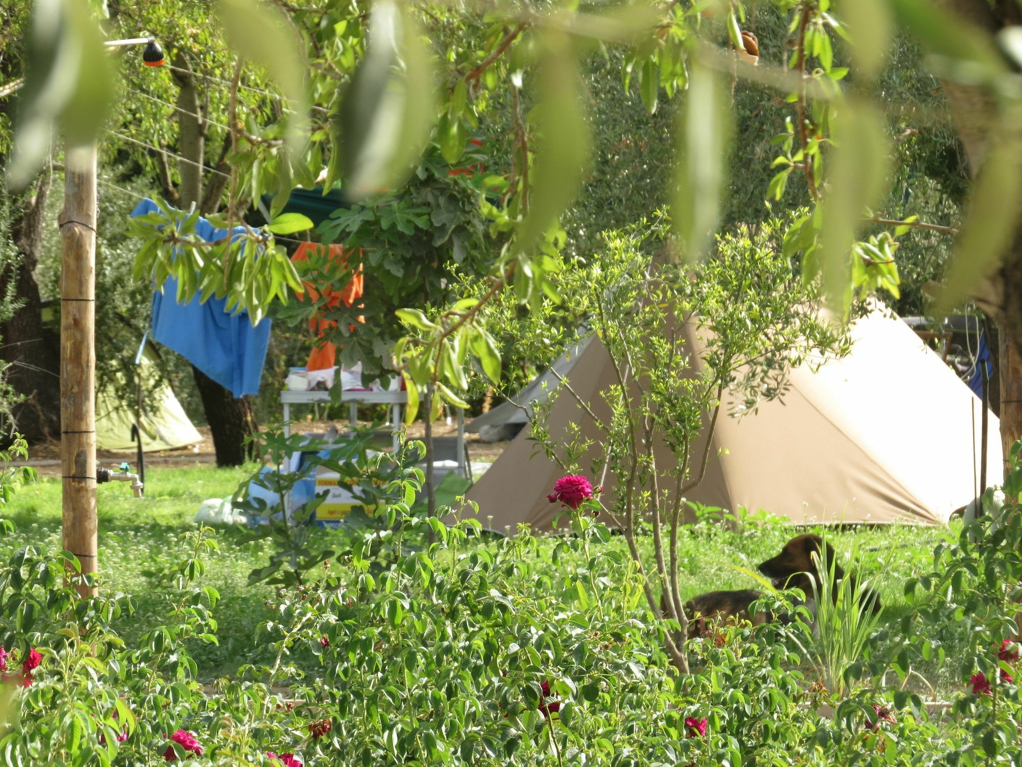 Camping Fiori Di Noto Exterior foto